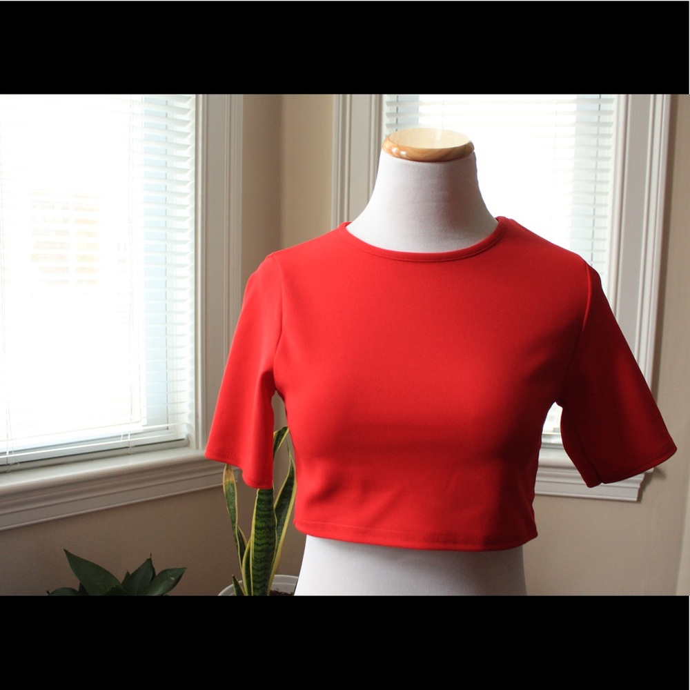 Nasty Gal- Crop Top and Pant set